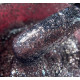 Your Brand Гель Фарба DIAMOND №001, 10мл