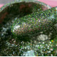 Your Brand Гель Фарба DIAMOND №004, 10мл
